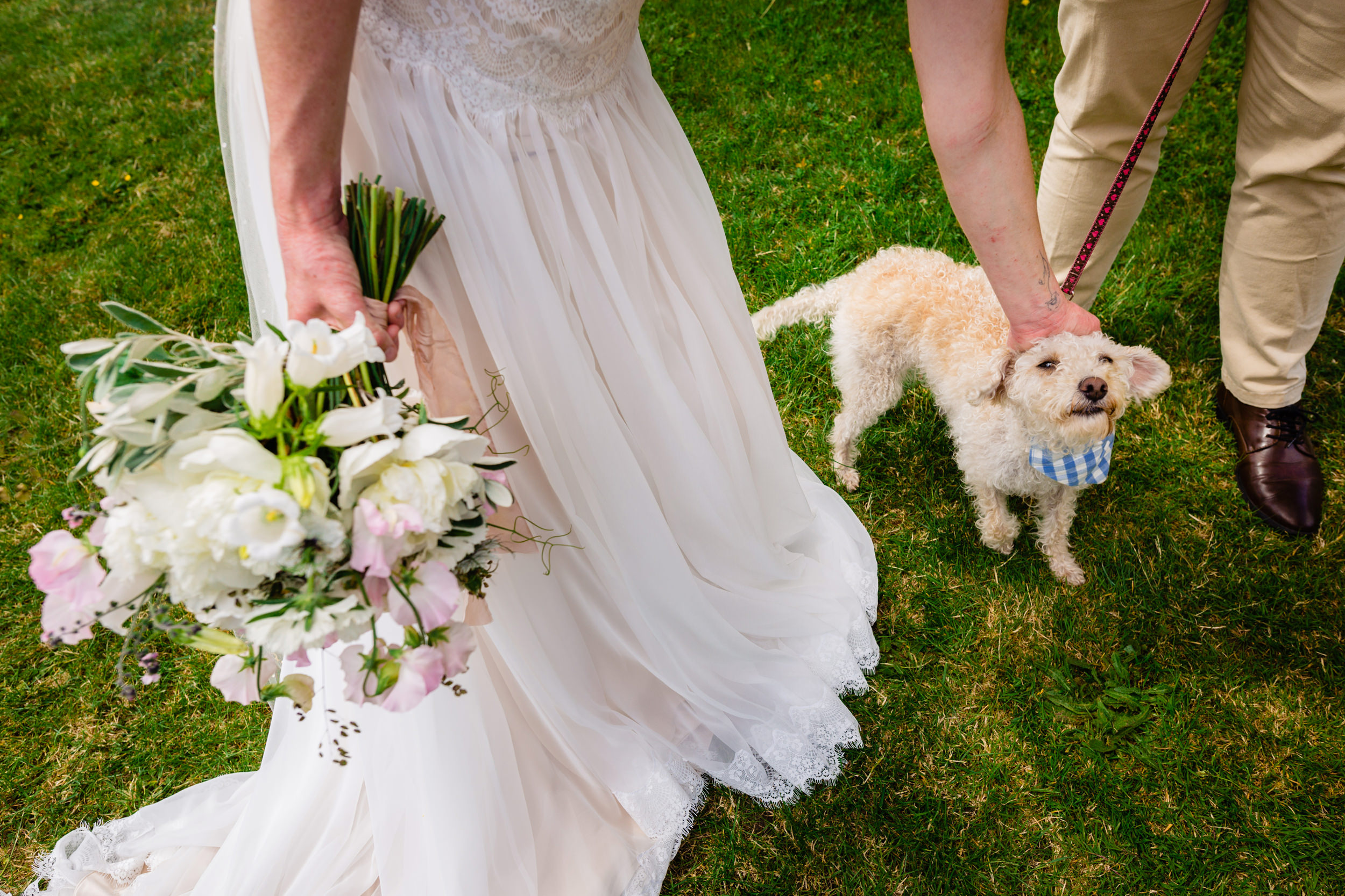 dog at a wedding getting a tickle with a bridal bouquet - creative and fun yorkshire wedding photography by emma and rich
